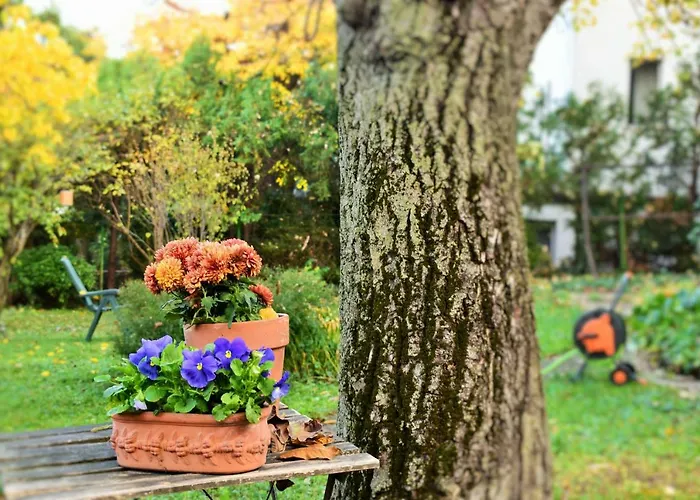 Apartament Gellert Hill