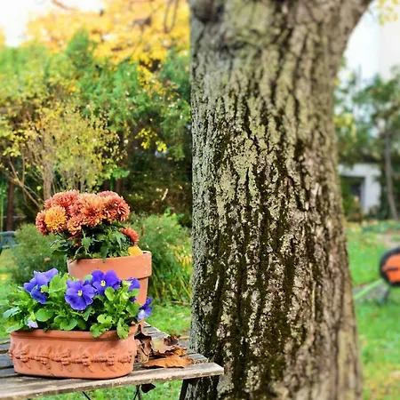 Apartamento Gellert Hill