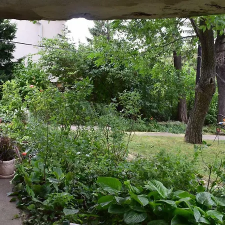 Gellert Hill شقة *