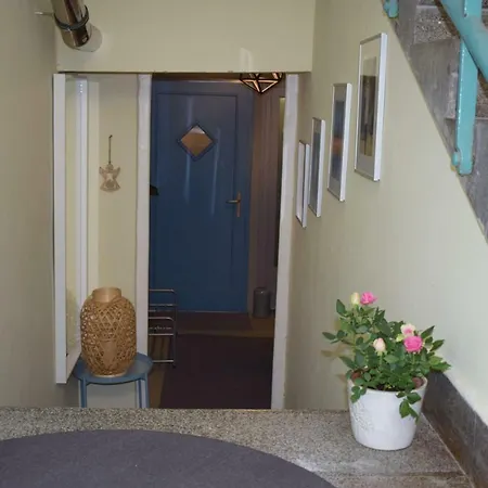 Gellert Hill Appartement